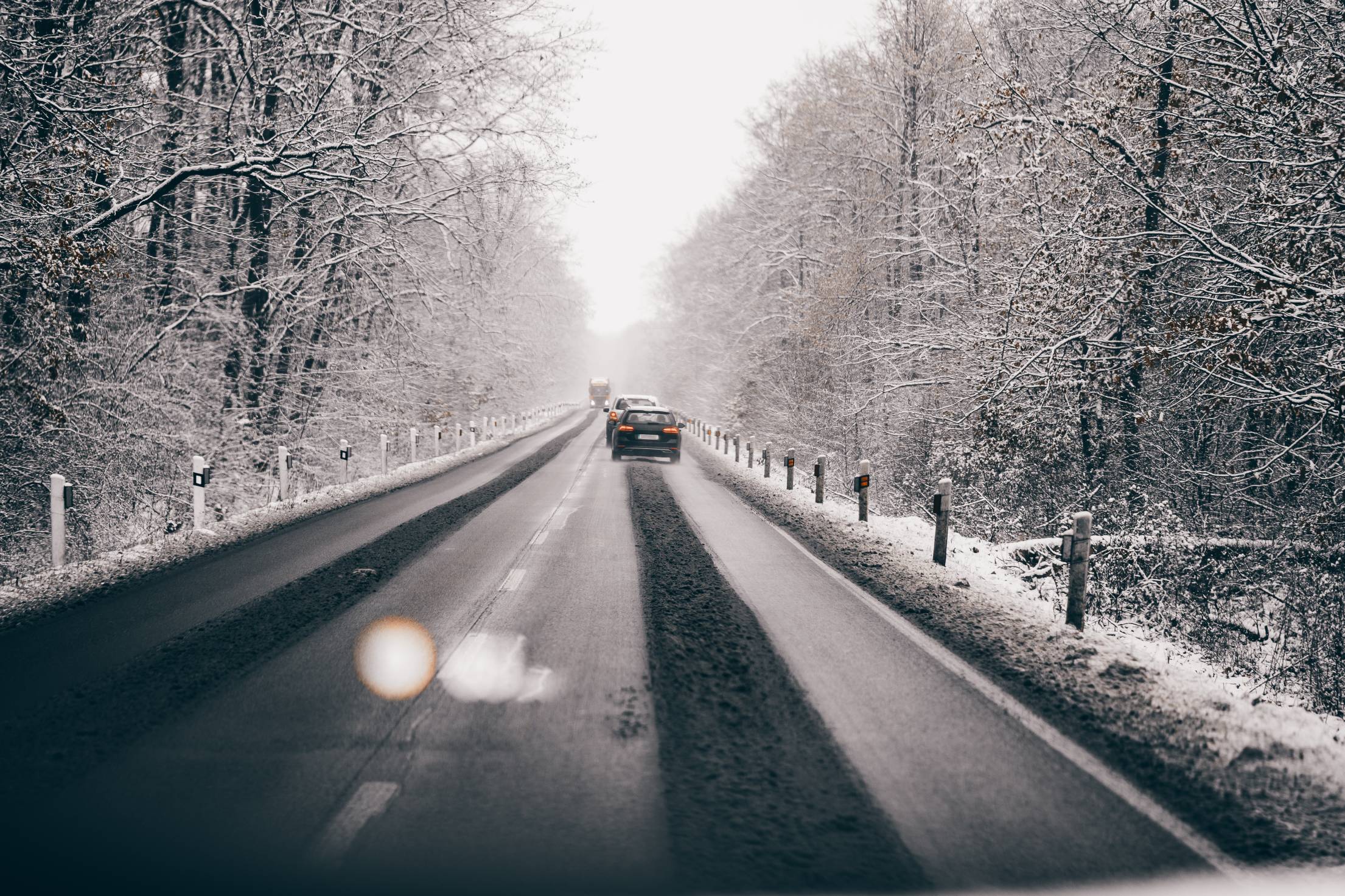 snowy-road-in-the-forest-free-photo.jpg